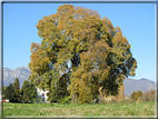 foto Paesaggi Autunnali tra le colline Fontesi